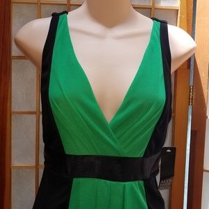 Alyn Paige Dresses - Alyn Paige NWT Green and Black Dress Sz M Alyn Paige Dresses - Alyn Paige NWT Green and Black Dress Sz M